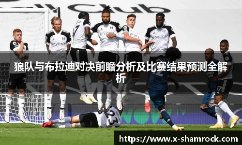 狼队与布拉迪对决前瞻分析及比赛结果预测全解析