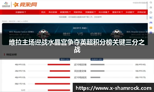 维拉主场迎战水晶宫争夺英超积分榜关键三分之战